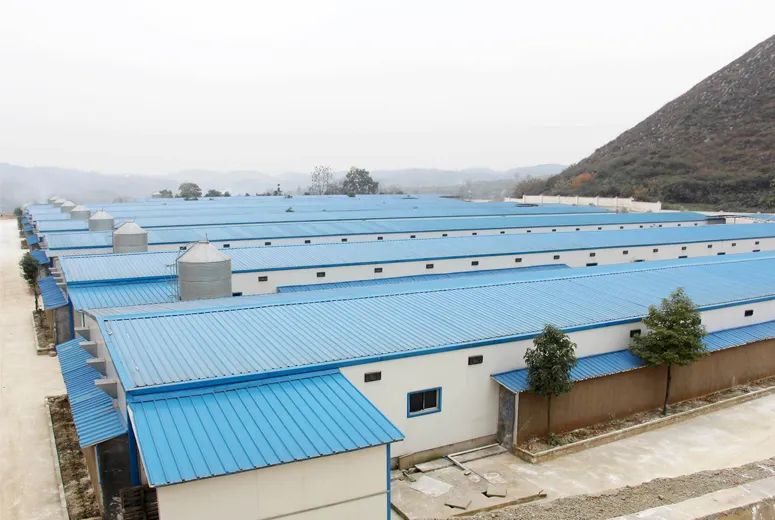 warehouse building design