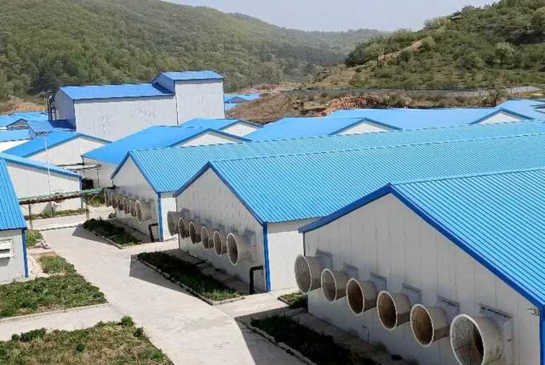 Steel Structure Factory Building