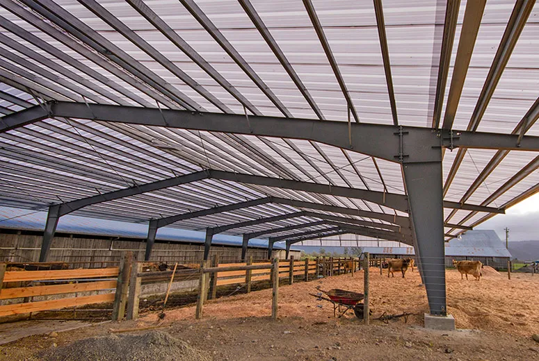 Steel Freight Warehouse Solutions