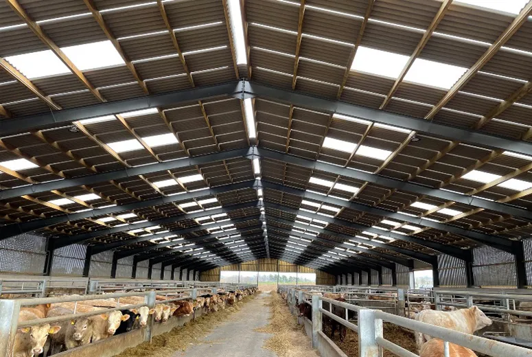 modular steel frame