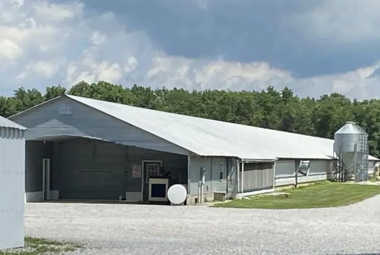 metal shed shop