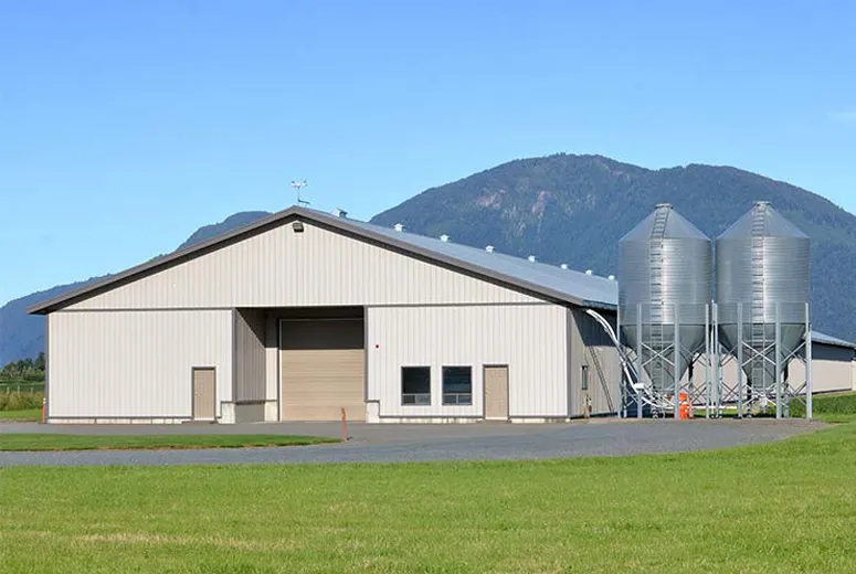 50x60 steel building
