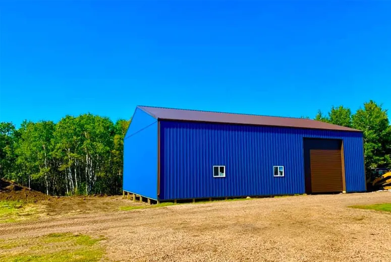 metal sheds with windows for sale