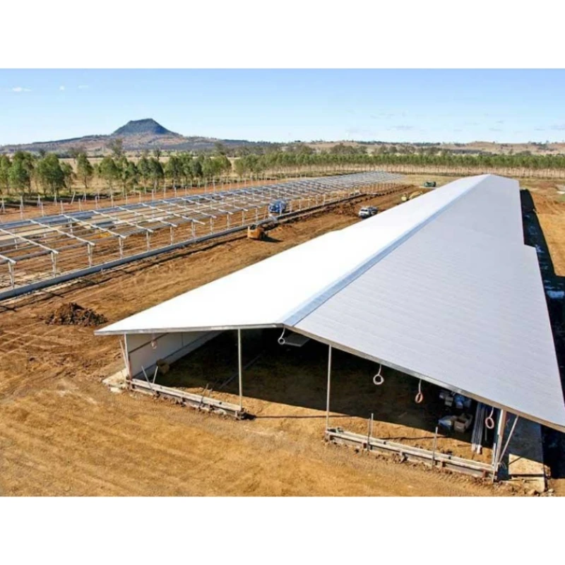 Affordable Steel Building Solutions for Cost-Effective Construction Projects