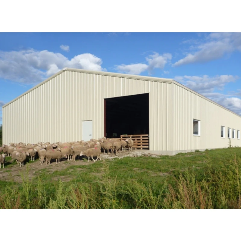 Affordable and Stylish Barn Steel Homes for Modern Living