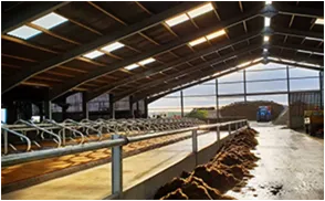 Durable Steel Structures for Efficient Industrial and Commercial Use