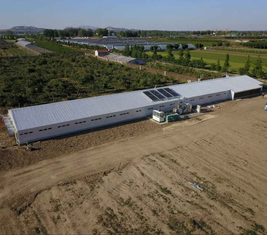 green metal shed