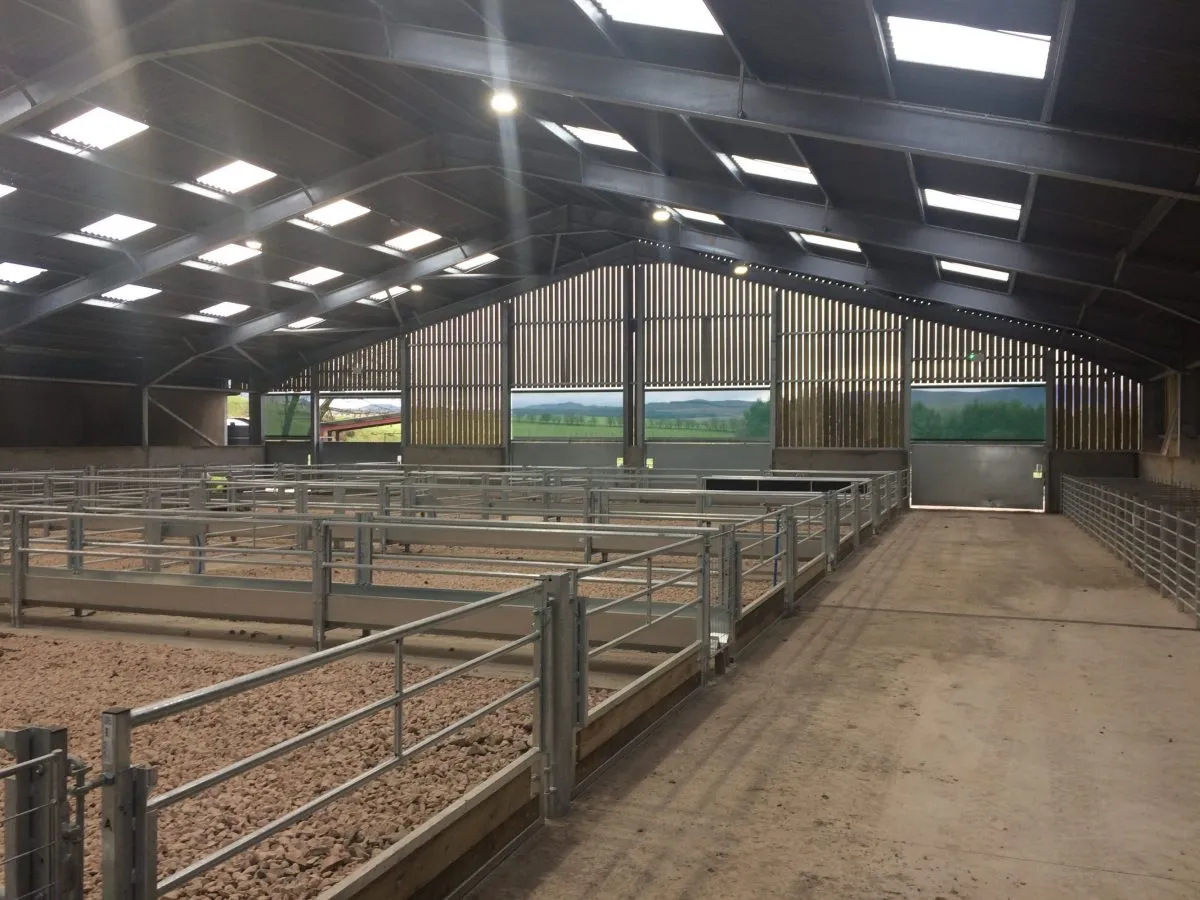 metal carport prices