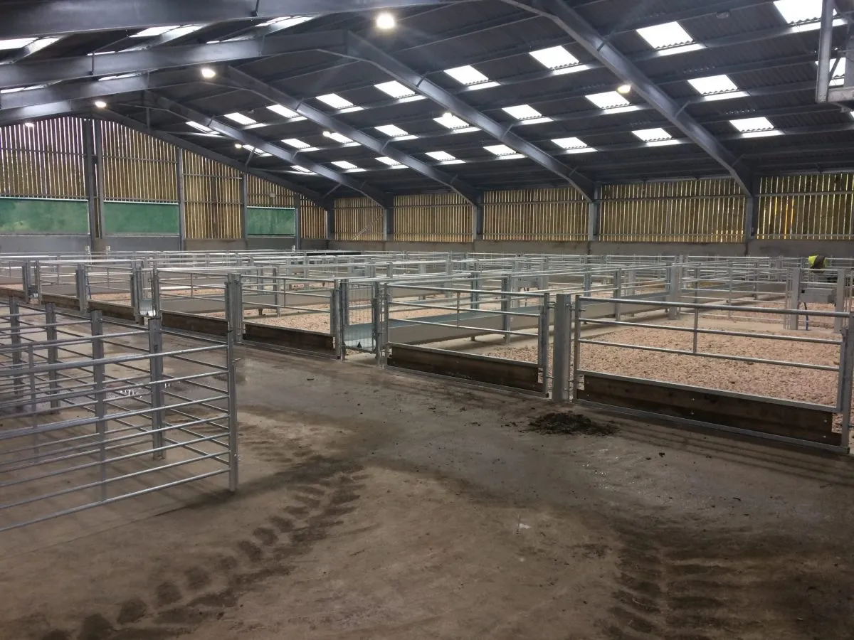 steel structure commercial building