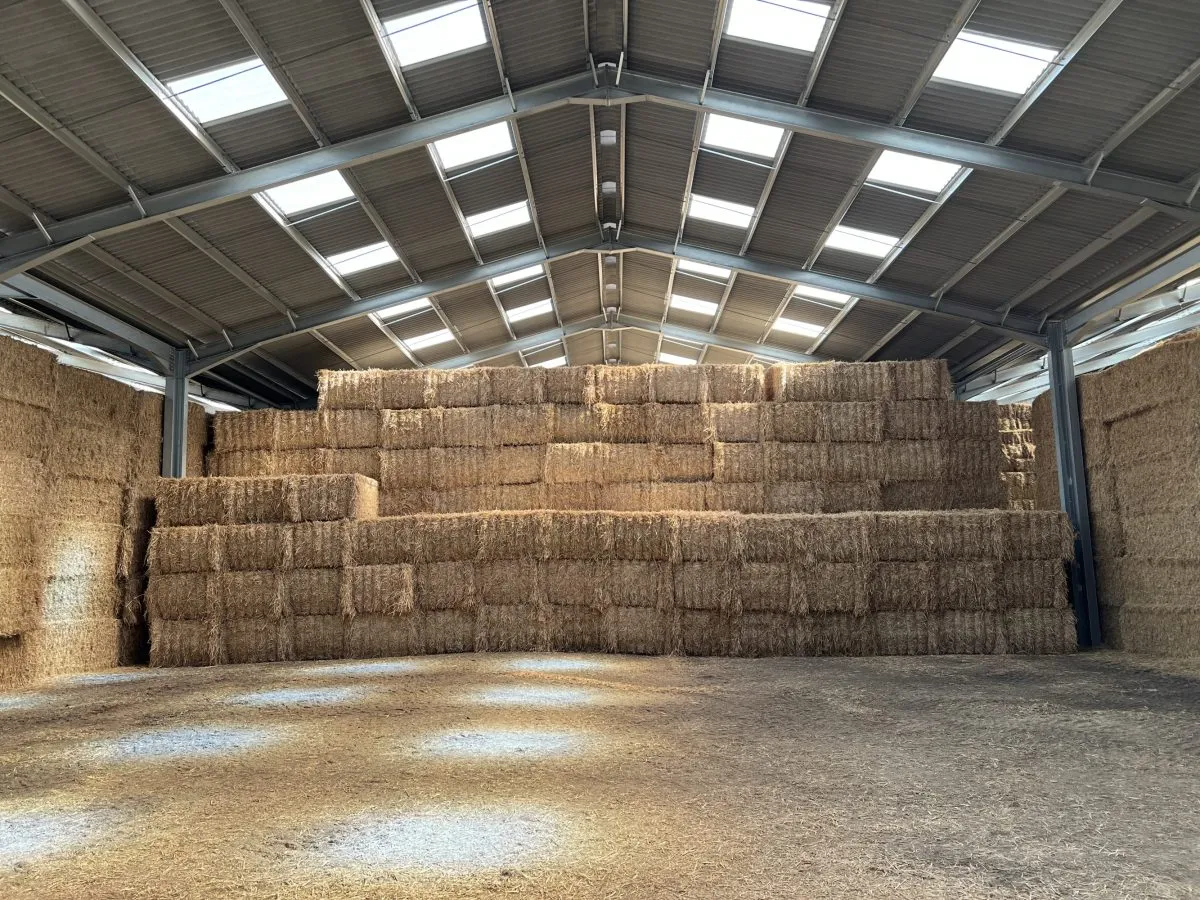 metal sheds to buy