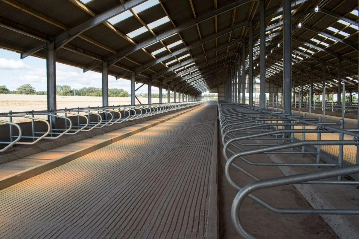 Durable Steel Structures for Strong Barns and Reliable Agricultural Storage Solutions