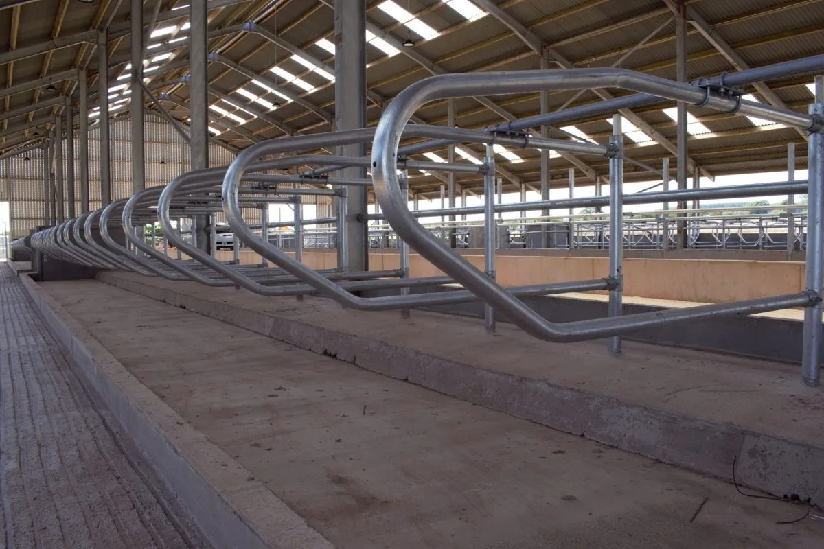 Versatile Large Agricultural Sheds for Enhanced Farming Efficiency and Storage Solutions