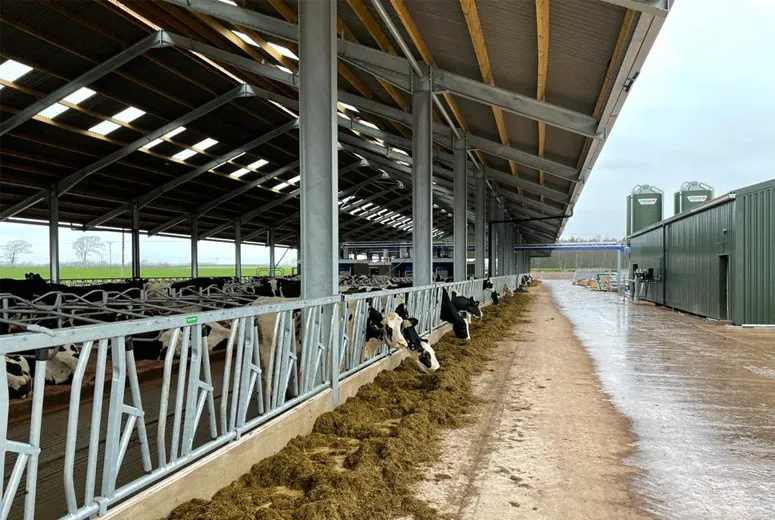 Spacious Steel Storage Facility for Industrial and Commercial Use