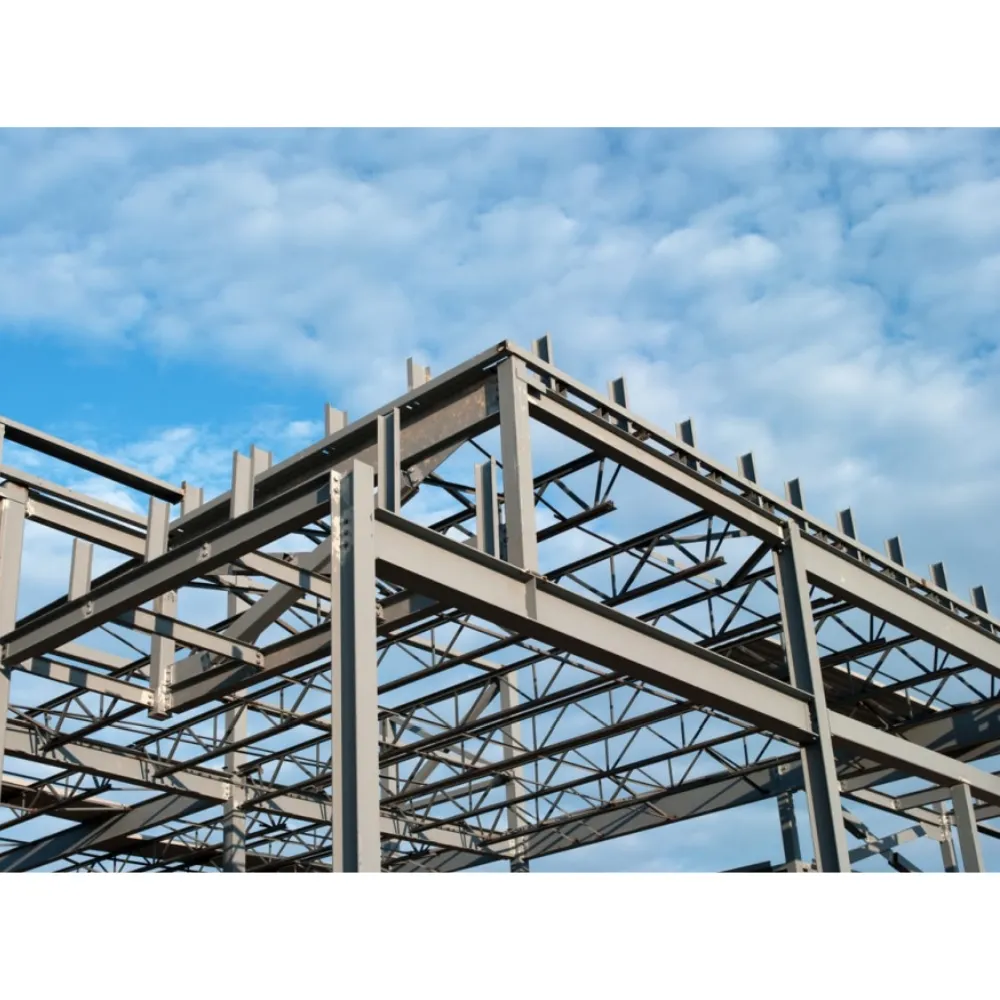 steel structure house