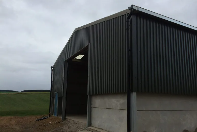 grizzly steel garages