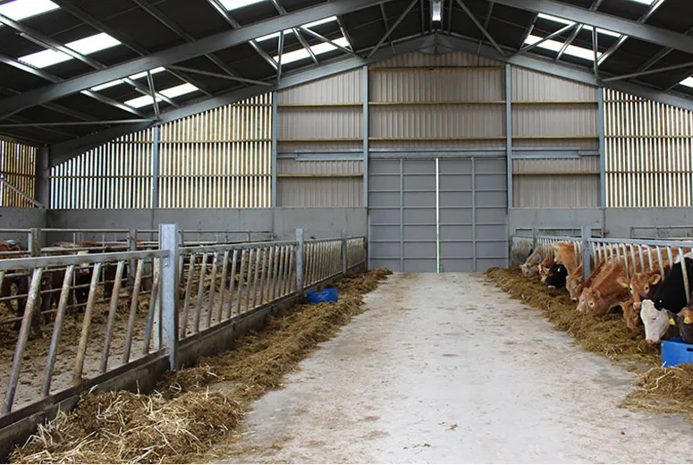 Understanding the Costs of Metal Carports for Your Home or Business