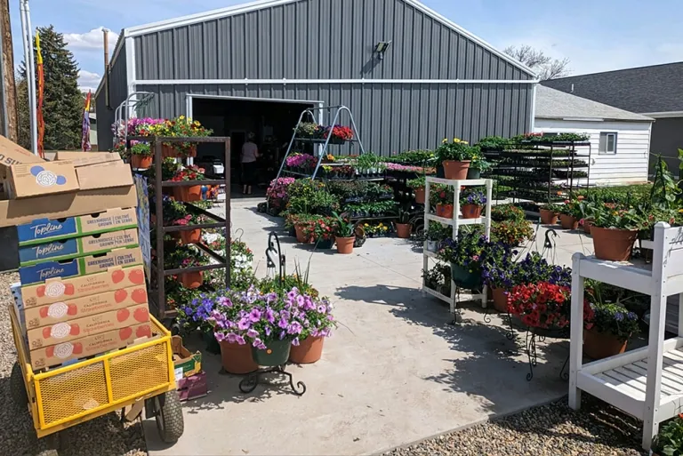 metal sheds 12x20