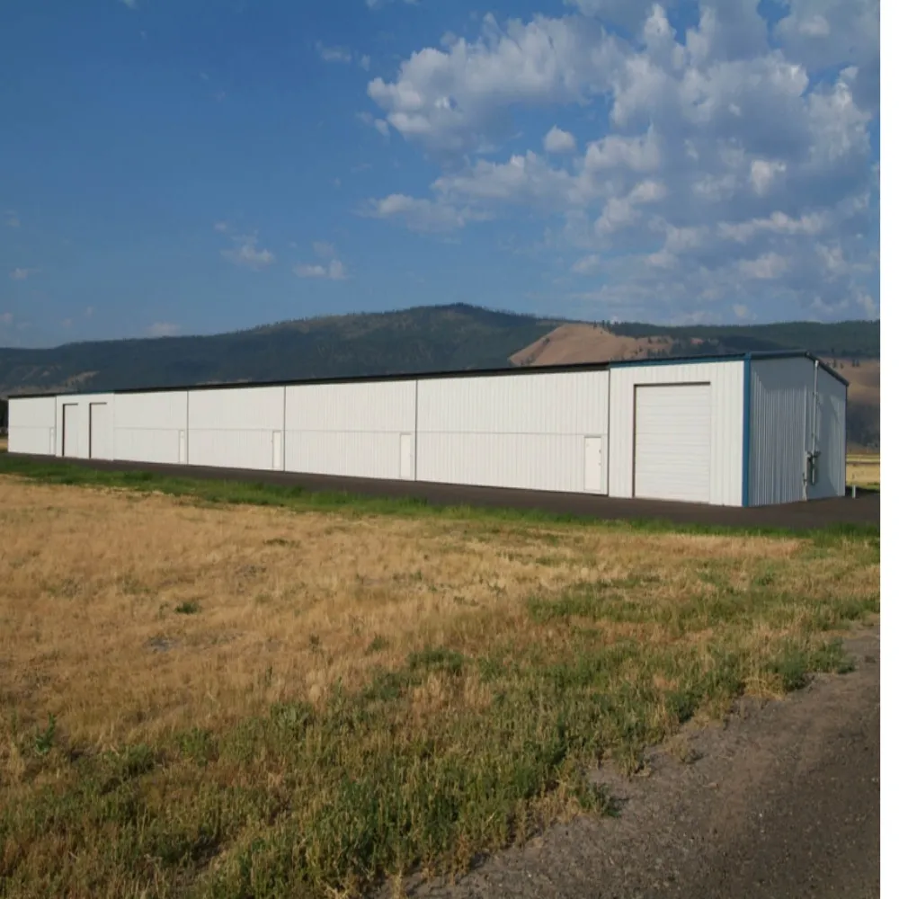 small metal shed with floor