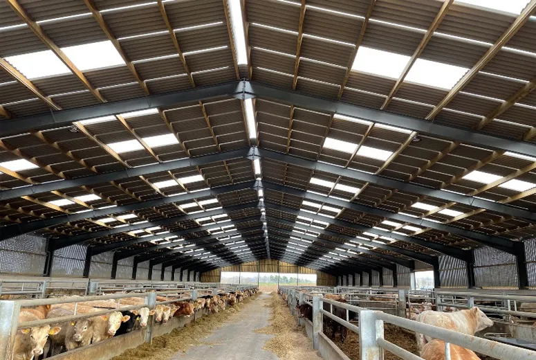 metal shed tall