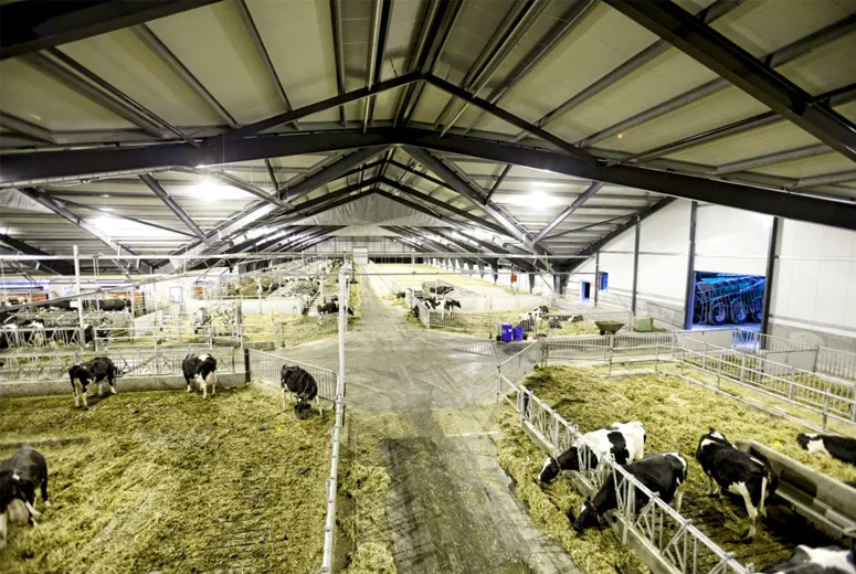 large farm buildings
