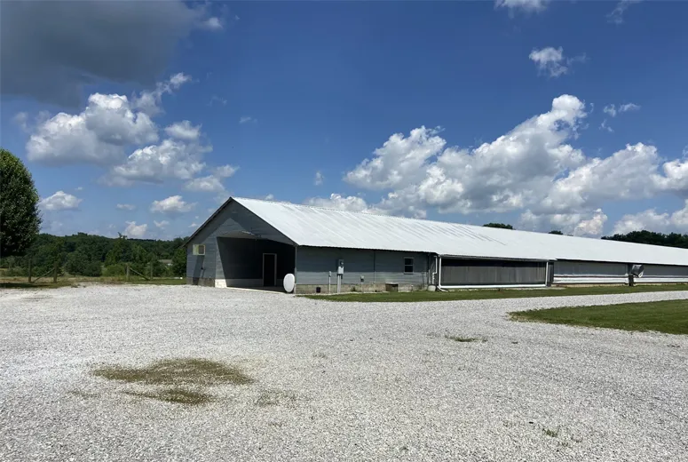 slim metal shed