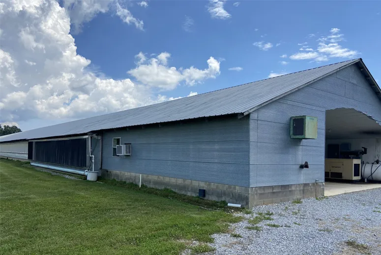 Steel Structure Factory Building