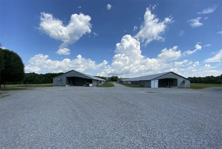 Steel Freight Warehouse Solutions