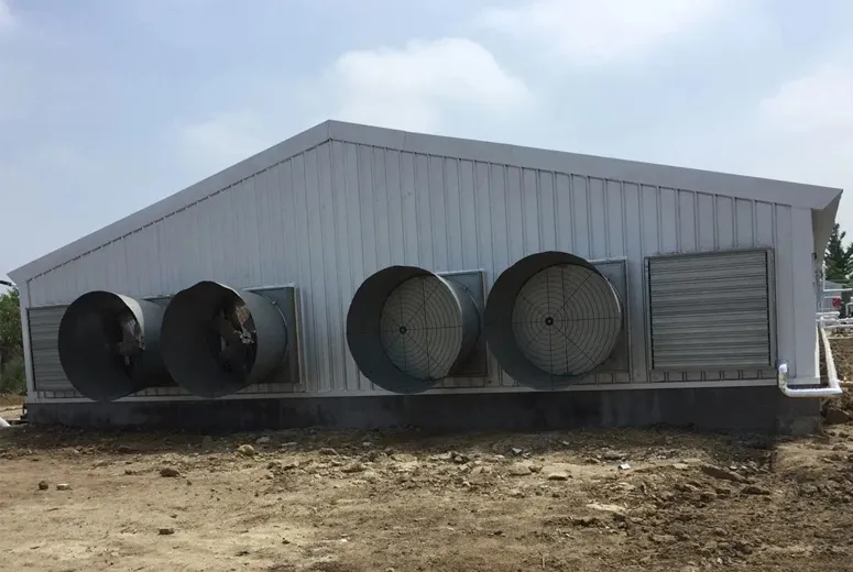 heavy metal shed
