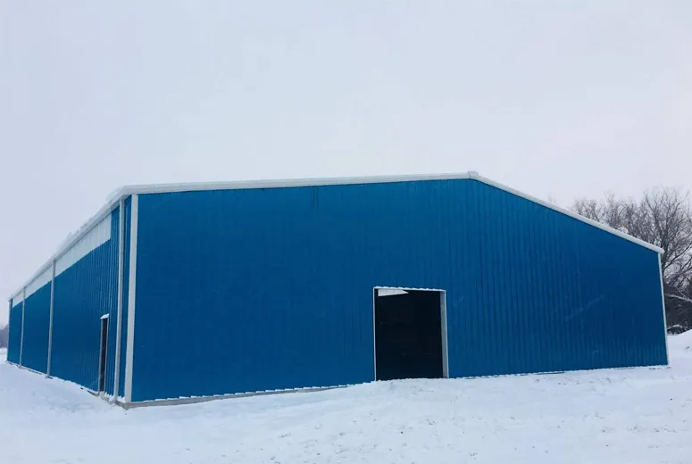 outdoor shed metal