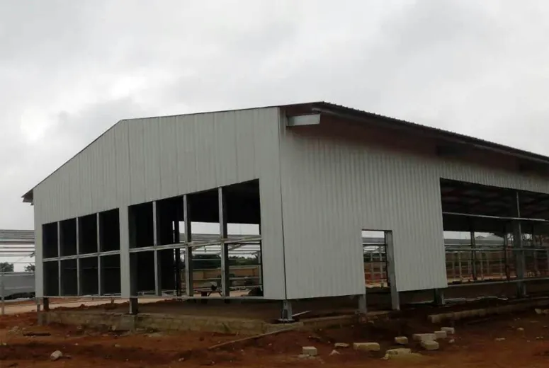 Steel Structure Factory Building