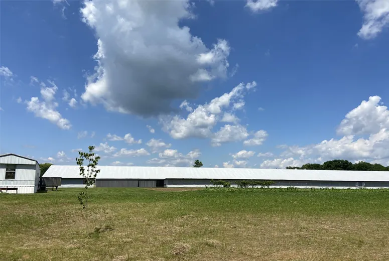 eagle structure metal buildings