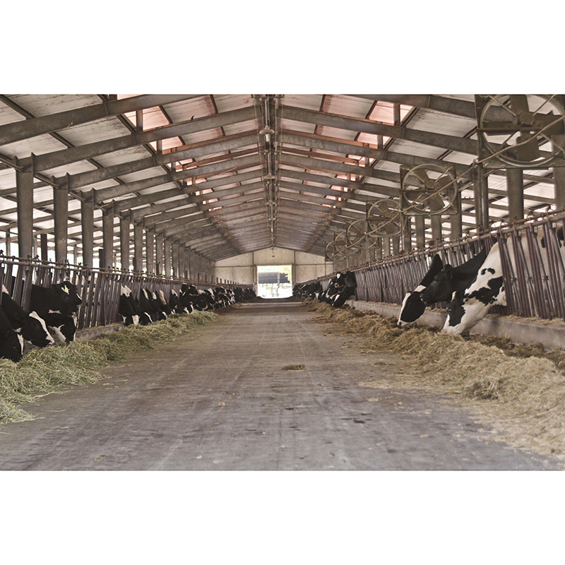 What are the methods of making holes in steel structure processing?