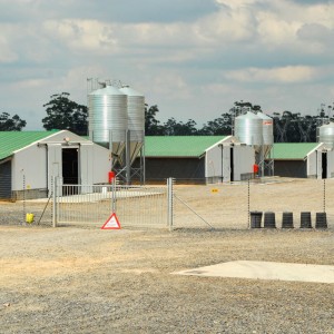 Good Wholesale Vendors China Factory Low Cost Price Prefab /Prefabricated Steel Structure Chicken Poultry Farm Prefab Steel House for Sale