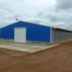 Poultry Shed Chicken Farm Building House