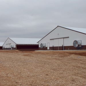 Beautiful Light Weight Steel Structure Building For House To Set Up Poultry Farm Feed Production Plant
