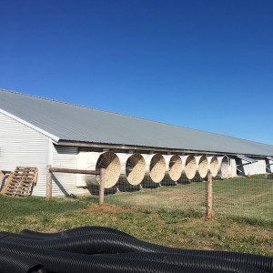Beautiful Light Weight Steel Structure Building For House To Set Up Poultry Farm Feed Production Plant