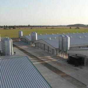 Beautiful Light Weight Steel Structure Building For House To Set Up Poultry Farm Feed Production Plant