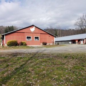 Beautiful Light Weight Steel Structure Building For House To Set Up Poultry Farm Feed Production Plant