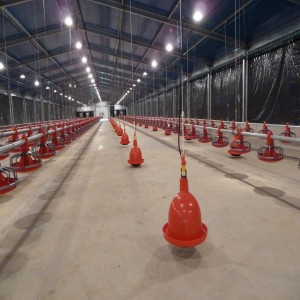 Broiler Poultry Farm House Design