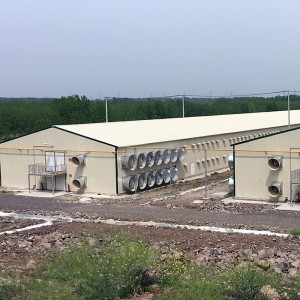 Broiler Poultry Farm House Design