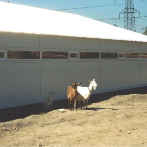 Facade Metal facing sandwich panel industrial shed