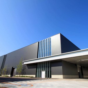 Large Span Custom Prefab Warehouses Steel Structure