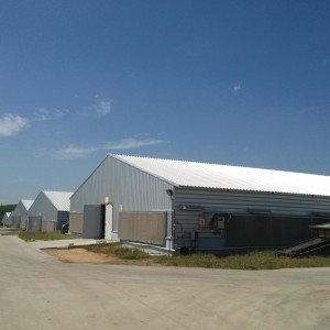 Layer Egg Chicken Cage/poultry Farm House Design