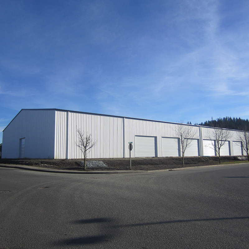 Manufacturer ofSteel Structure Prefab House -
 Low Cost Fast Assemble Fabricate Steel Structure Warehouse – Hongji Shunda