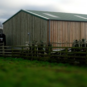 Low Cost Fast Assemble Steel Structure Building