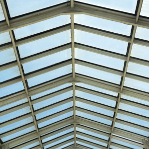 Low Cost Fast Assemble plant Buildings