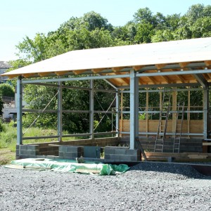 Low Cost Fast Assemble plant Buildings