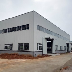 Multi-functional Free design Light Steel Structure