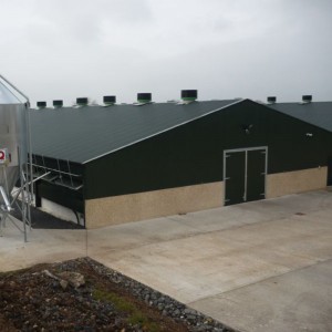 Prefab Steel Structure Broiler Poultry Shed Design