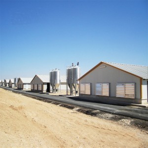 Professional design modular automatic control chicken poultry shed